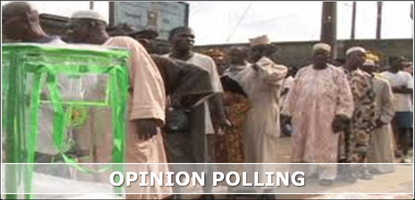 Infinite Insight Expertise - Opinion Polling