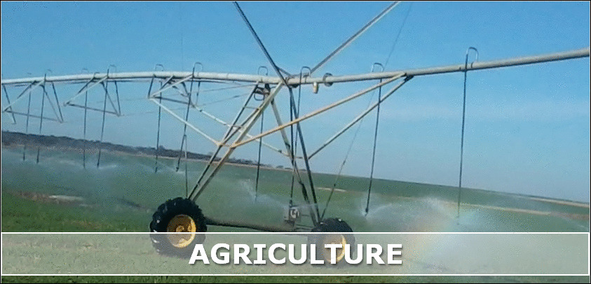 Infinite Insight Expertise - Agriculture