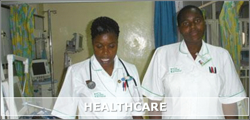 Infinite Insight Expertise - Healthcare