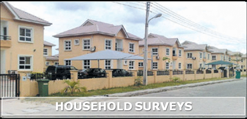 Infinite Insight Expertise - Household Surveys